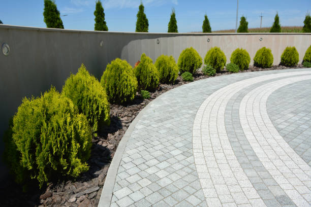Best Custom Driveway Pavers  in Black Diamond, WA